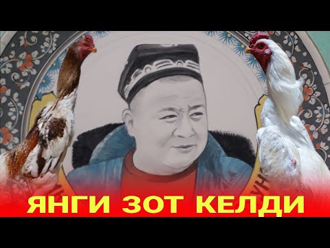 Видео: ПАРВОЗЛАР УЧУН КАТТА ЯНГИЛИК/ОХУНОВГА ПОКИСТОНДА ЯНГИ ЗОТ КЕЛДИ...