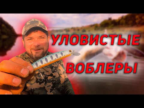 Видео: Уловистые Воблеры Косят Осеннюю Щуку на Дону