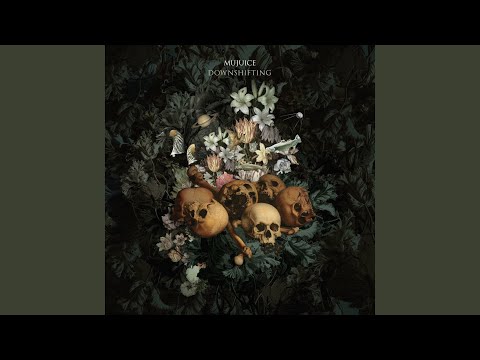 Видео: Приключения