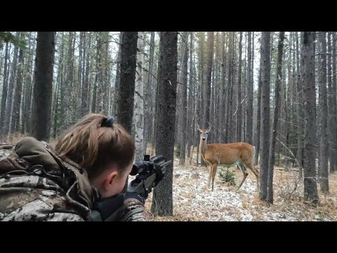 Видео: .223 Охота на белохвостого оленя в Альберте — Ashley's Deer