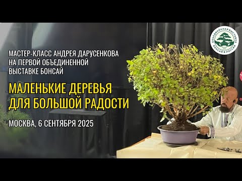 Видео: МАЛЕНЬКИЕ ДЕРЕВЬЯ ДЛЯ БОЛЬШОЙ РАДОСТИ