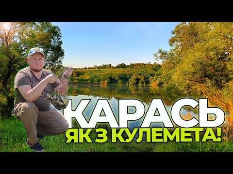 Видео: КАРАСЬ як з КУЛЕМЕТУ! РИБАЛКА на КАРАСЯ на ПОПЛАВКОВУ ВУДКУ.