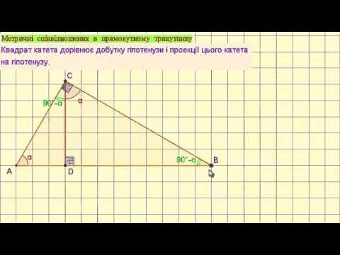 Видео: Метричні співвідношення в прямокутному трикутнику