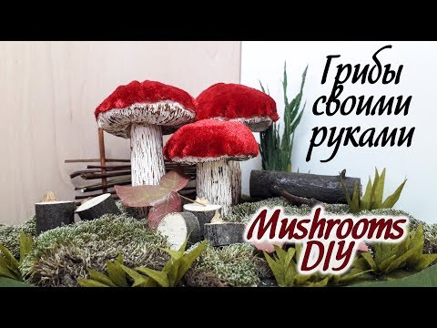 Видео: Композиция грибы / mushrooms composition