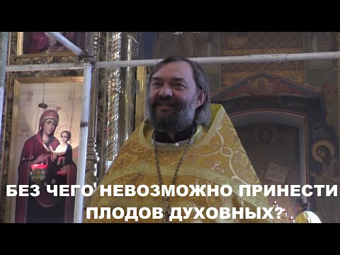 Видео: Как правильно сеять, чтобы были плоды? Священник Валерий Сосковец