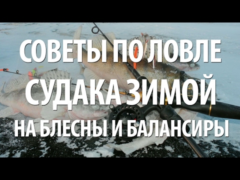 Видео: КАК ЛОВИТЬ СУДАКА ЗИМОЙ на БЛЕСНУ и БАЛАНСИР со ЛЬДА