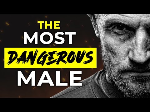 Видео: Почему самцы сигма-самки — самая опасная порода