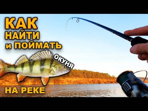 Видео: КАК НАЙТИ ОКУНЯ на реке? ПОИСК ОКУНЯ осенью.