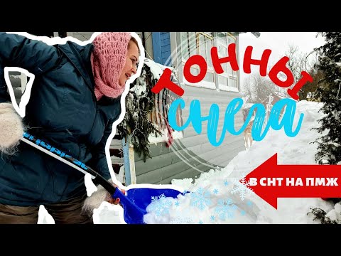 Видео: ВЛОГ | СНЕГ ОТКАПЫВАЕМСЯ | ЛЫЖИ | БЛОГЕР ЭТО ПРОФЕССИЯ? | ПИРОГ С КАПУСТОЙ И РИС