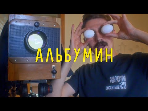 Видео: Альбуминовая печать - главный процесс XIX века