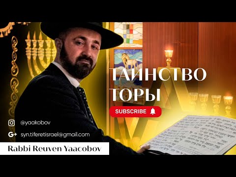 Видео: Недельная Глава Торы «Лех Леха»!5786