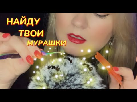 Видео: АСМР НАЙДУ ТВОИ МУРАШКИ/ ASMR TINGLES