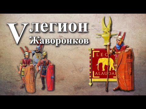 Видео: V легион Жаворонков - любимые воины Цезаря и Антония