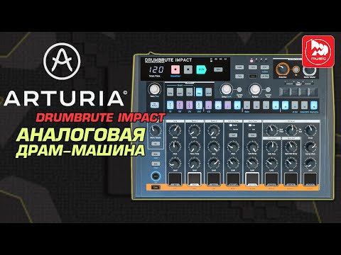 Видео: Драм-машина ARTURIA DRUMBRUTE IMPACT