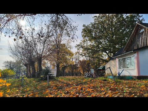Видео: Сделан в С.С.С.Р в прямом эфире! Городской Парк. #Наровля.