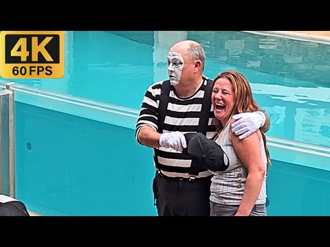 Видео: Мим Том был таким веселым в этом шоу! 4K 😂🤣(SeaWorld Orlando) 08 ФЕВ 2024 г.