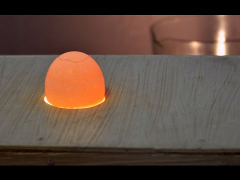 Видео: Оценка качества яиц перед закладкой в инкубатор. Лаборатория птицеводства УрГАУ