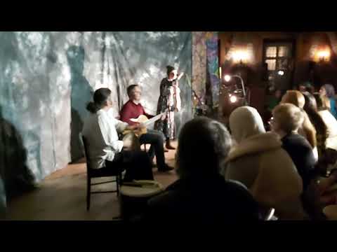 Видео: Мелодия "В мире животных" на плоских колоколах