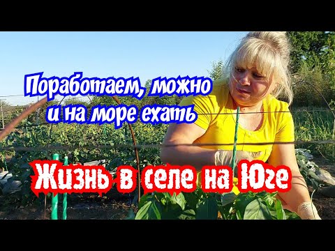 Видео: Жизнь в селе на Юге.  Поработаем, можно и на море ехать.
