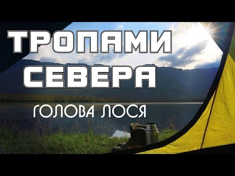 Видео: Тропами севера/Голова лося. Эпизод 8