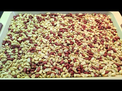 Видео: Жареный АРАХИС за пару минут. Как пожарить арахис вкусно и быстро. Самый простой способ его очистки