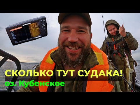 Видео: Сколько же его тут! Огромная стая судака! Вот это рыбалка! #рыбалка #рыбалканасудака