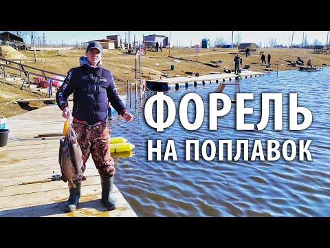 Видео: Ловля форели на поплавочную снасть. Сезон открыт!