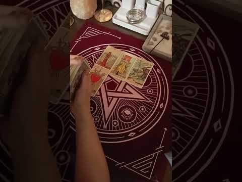 Видео: Вы поставили точку, осознал ли он это?