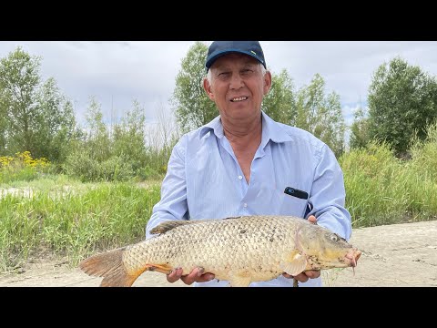 Видео: РЫБАЛКА В ИЮЛЕ ! САЗАНЫ КАРАТАЛА.Рыбалка в Казахстане. Как ловить дикого карпа ? Жетысу.