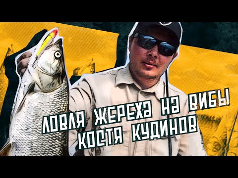 Видео: Ловля крупного ЖЕРЕХА НА ВИБЫ и БЛЕСНЫ!  Неожиданная рыбалка Кости Кудинова