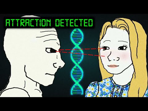 Видео: Влечение — это не выбор. Это биология.