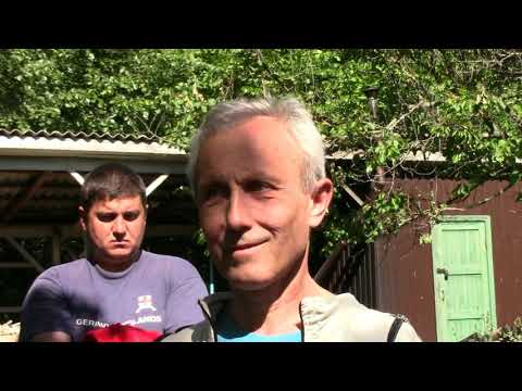 Видео: Пчеловодство.Экскурсия на пасеку Егошина.Л.Р