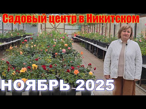 Видео: Что происходит в садовом центре в ноябре 2025 г?