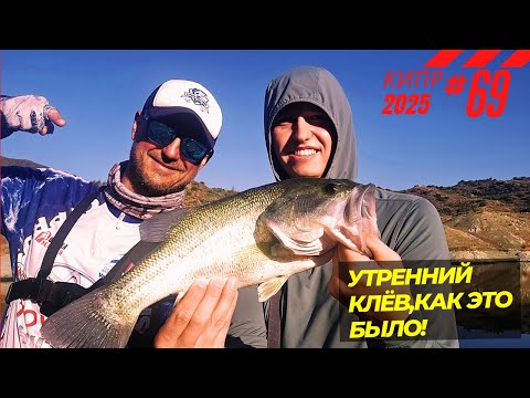 Видео: Рыбалка на Кипре. Утренний клёв,как это было! Часть - 69. Сезон 2025