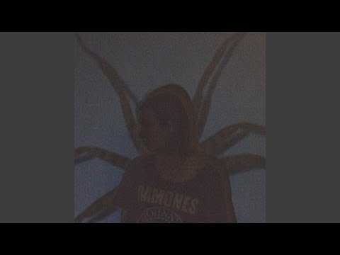 Видео: Зависть Луны