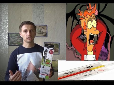 Видео: ИСПЫТАНИЕ НА ВРЕМЯ И ТОЧНОСТЬ!  НАГРЕВАТЕЛЬ AQUAEL  Platinium Heater. ОБЗОР-ПРОВЕРКА.
