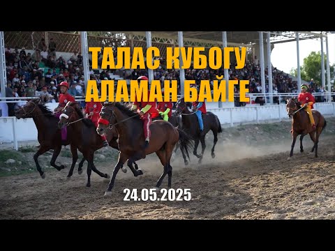 Видео: Талас кубогу 2025 Аламан байге