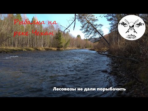 Видео: Однодневная рыбалка на хариуса по р.Чехан (Таштыпский район, Хакасия)