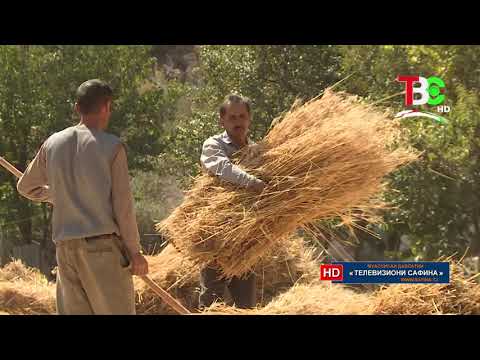 Видео: Сангвор — Ҳунарҳои мардумӣ. Район Сангвор, Таджикистан