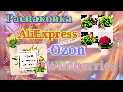 Видео: Распаковка Алиэкспресс, Озон, Вайлдберриз и Яндекс Маркет. #unpacking #ozon #wildberries
