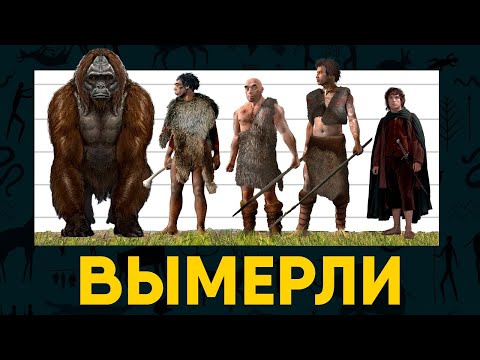 Видео: Вымершие виды Человека. Неудачные конкуренты Эволюции.