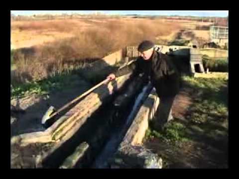 Видео: гдов