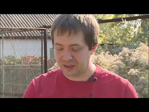 Видео: Альтернативный сад 10 серия морковь бурак