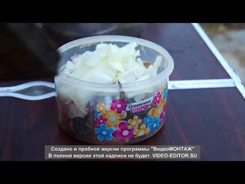 Видео: Быстрое Приготовление Хариуса или Хе по Хамирски