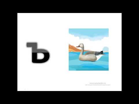 Видео: Буква Ъ Твёрдый знак - Сайт-игра Разумейкин