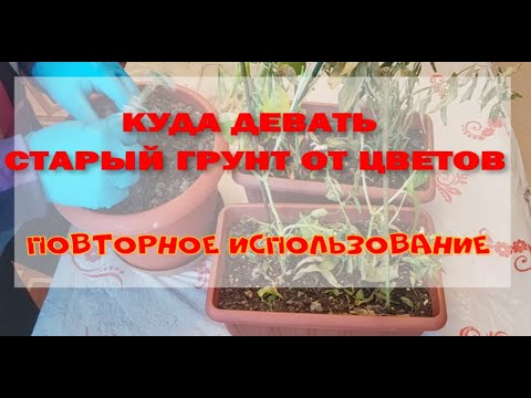 Видео: Куда деть старый грунт от цветов?