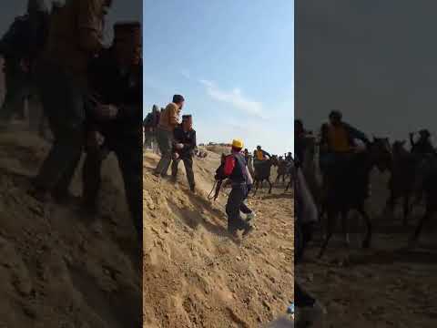 Видео: БУЗКАШИ ДАР ГИЛИСТОН Ж БАЛЛХИ