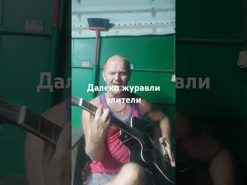 Видео: Далеко журавли улетели. #природа #песниподгитару #музыка