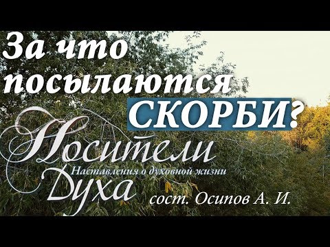 Видео: У кого нет СКОРБЕЙ, тот забыт Богом! За что посылаются страдания? Святые отцы