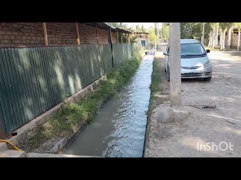 Видео: Ош обл Ноокат рн Көк-Жар аө Жийде айылы  2025ж